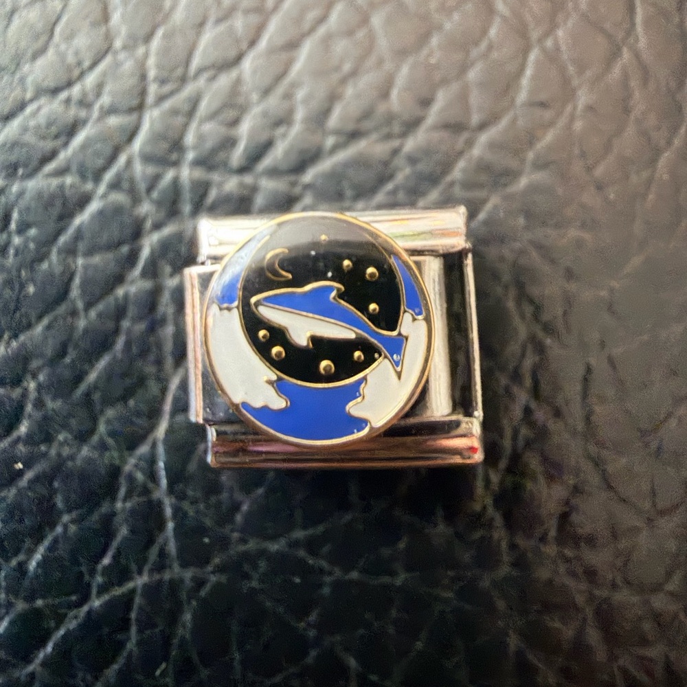 Dolphin Under the Moon Italian Charm – 9mm Ocean Night Link